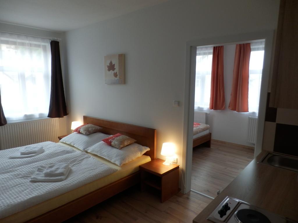 Dueta Apartment Český Krumlov Værelse billede